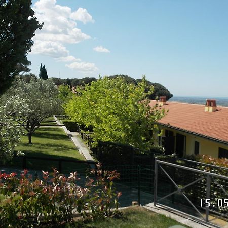 Agriturismo La Vite E Gli Ulivi Ariccia Exterior foto