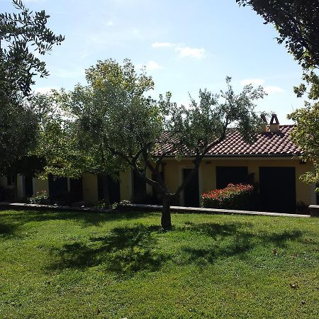 Agriturismo La Vite E Gli Ulivi Ariccia Exterior foto