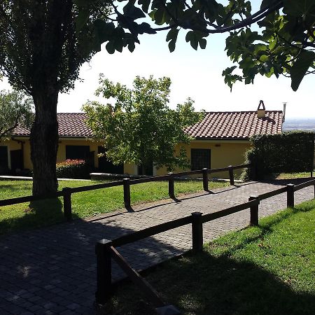 Agriturismo La Vite E Gli Ulivi Ariccia Exterior foto