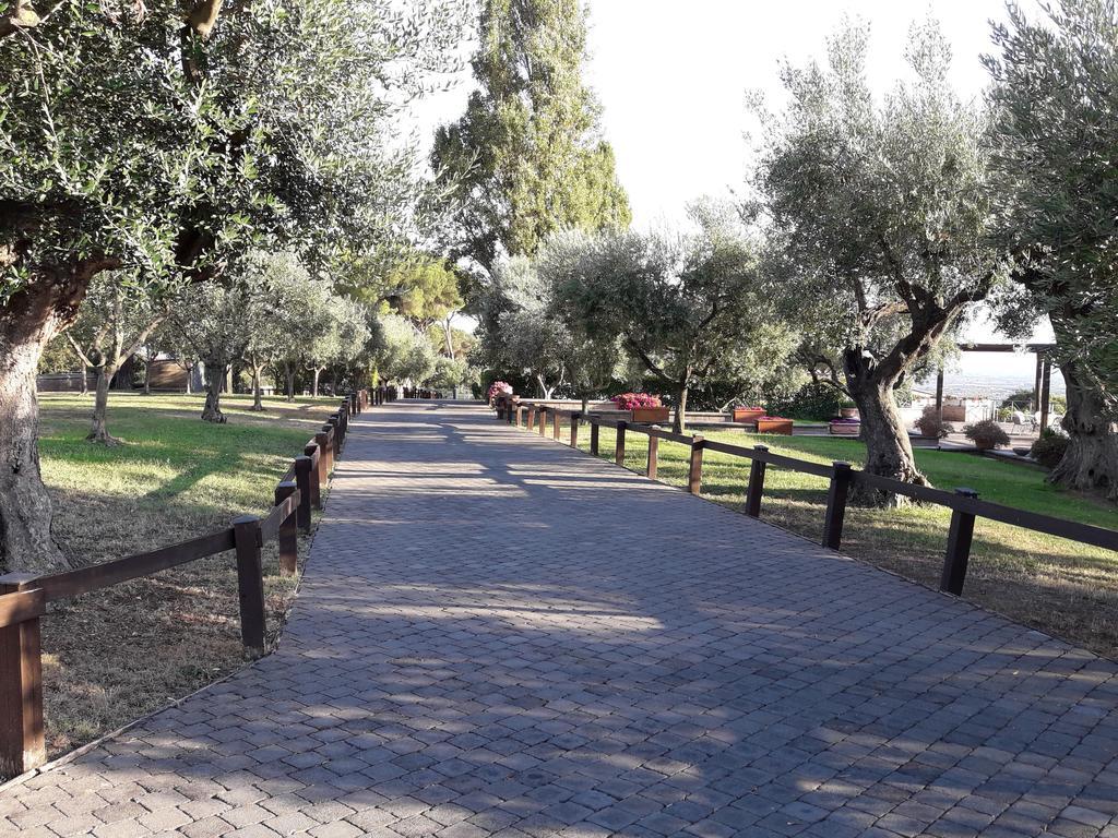 Agriturismo La Vite E Gli Ulivi Ariccia Exterior foto