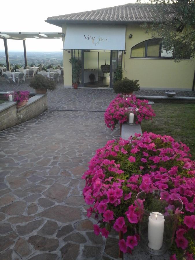 Agriturismo La Vite E Gli Ulivi Ariccia Exterior foto