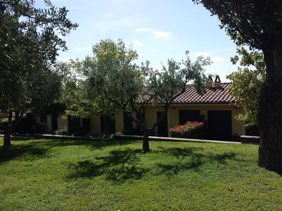 Agriturismo La Vite E Gli Ulivi Ariccia Exterior foto