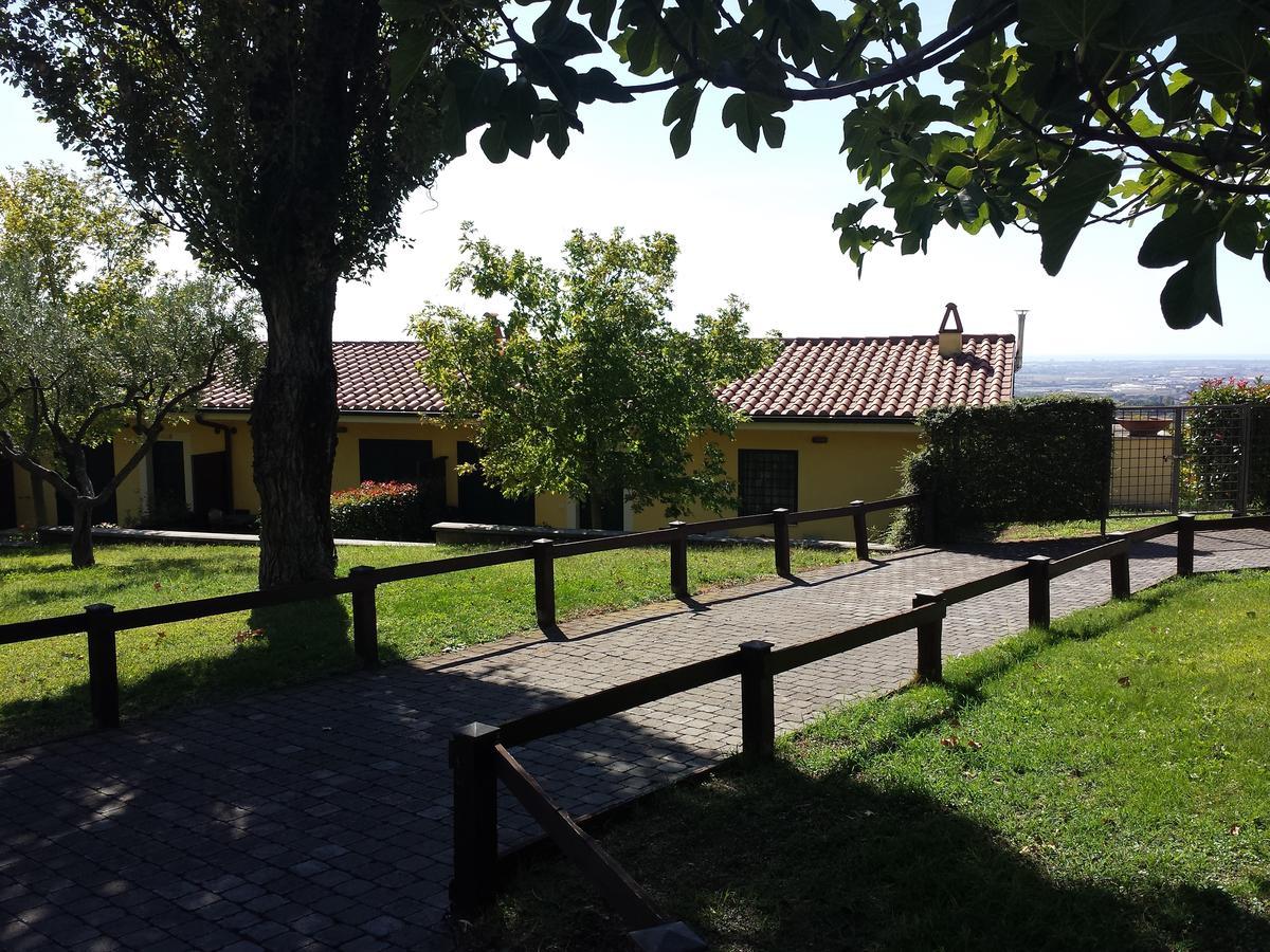 Agriturismo La Vite E Gli Ulivi Ariccia Exterior foto